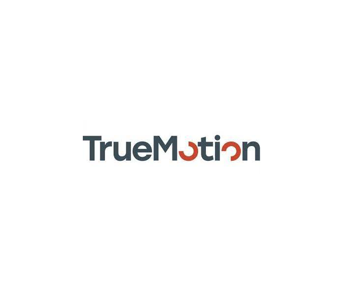 TrueMotion Logo